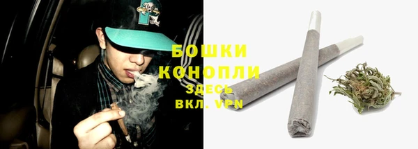 стафф Болотное